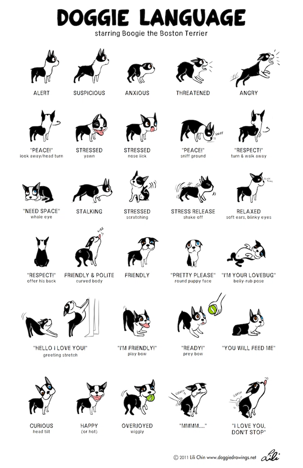 scottymwatson's tweet photo. Doggie body language handy chart-

Art by @lilita_yaya https://t.co/mWTbmwZR6x