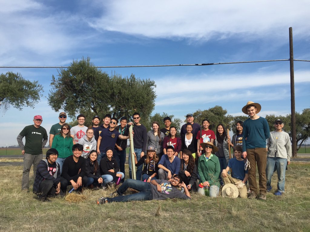 TreeDavis's tweet image. We planted 32 new oak trees along Russell Blvd. yesterday! Our volunteers are the best!