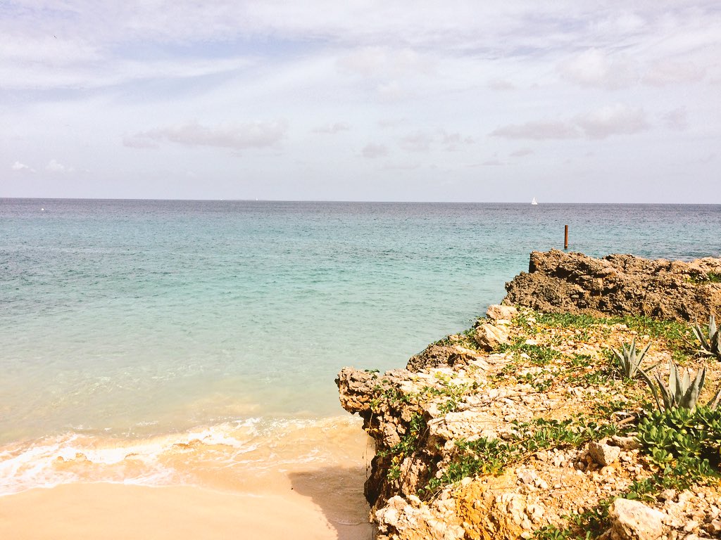 AxaAirServices's tweet photo. Your ticket to #Paradise. #AAS #TravelSkills https://t.co/YPDp5lyt3w