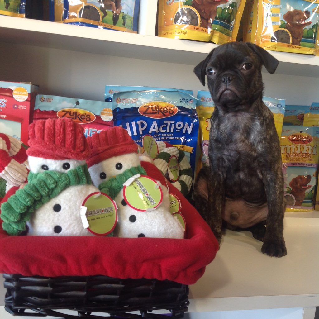 barrkhaven's tweet photo. Wurmple approved Christmas toys! https://t.co/TgnxU1cObN