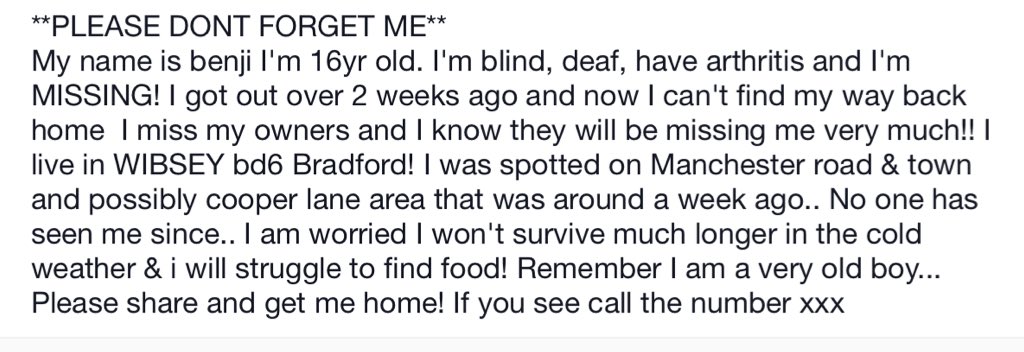 miss_vertonghen's tweet photo. @claraloo
PLEASE RT FOR BENJI
#GetBenjiHome https://t.co/X6JvhSUrj6