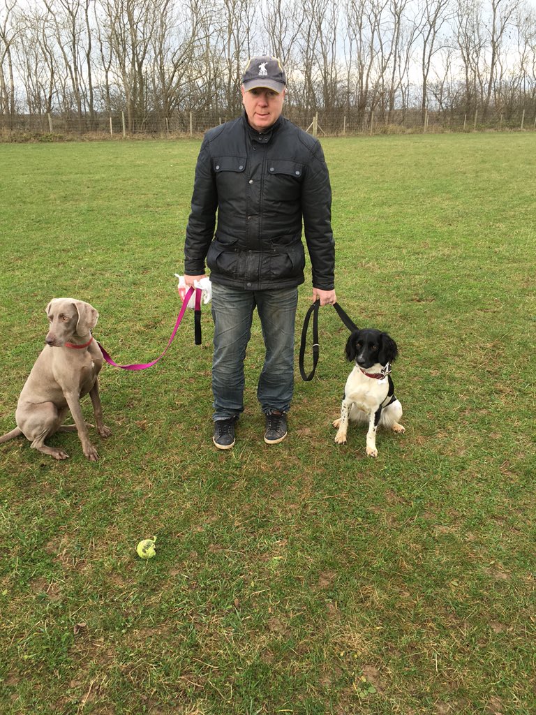HelpingDogPaws's tweet photo. Jasmine has found her forever home https://t.co/PBVka6b6Rg
