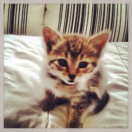 Sombre Claire 🇧🇪 tweet media