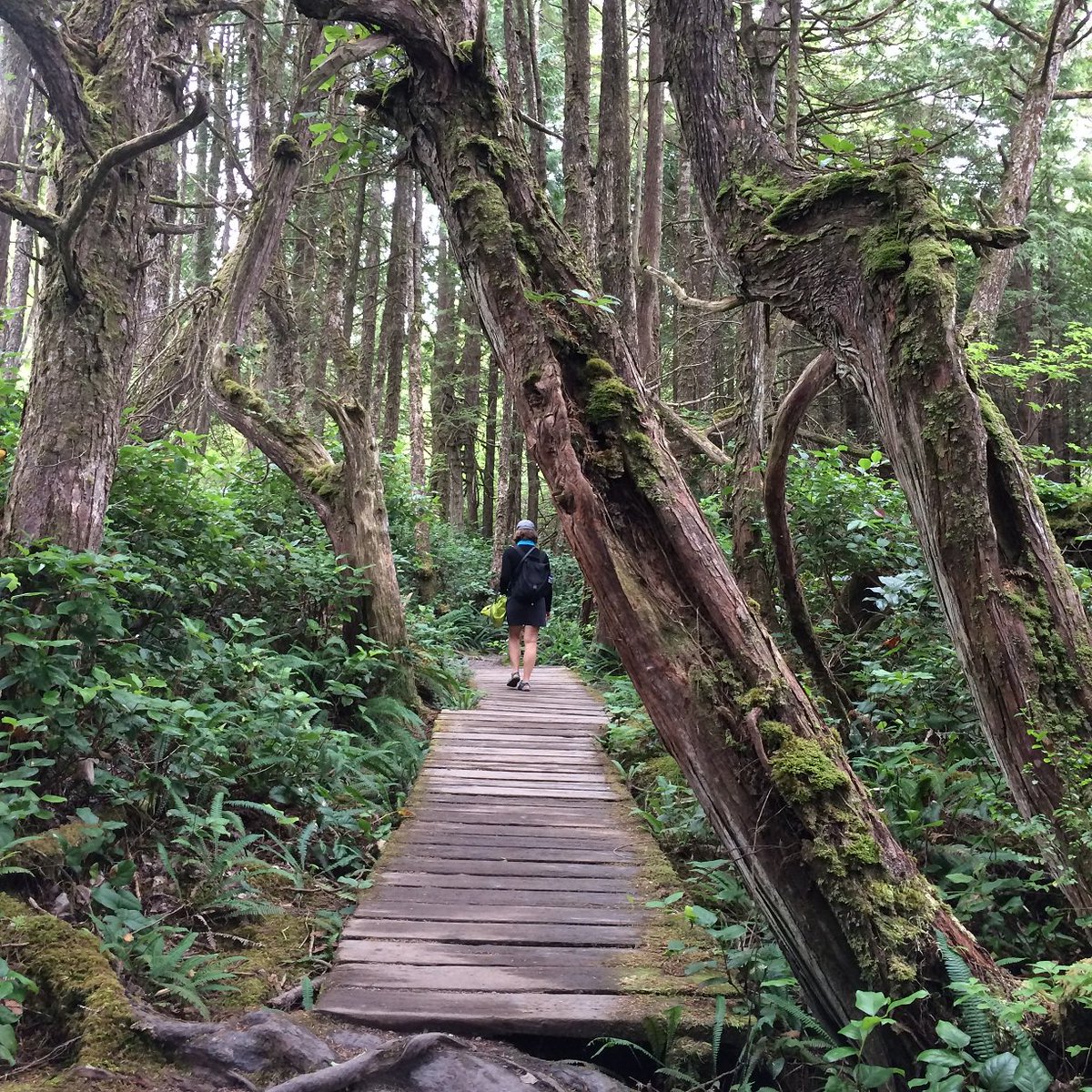 ActivePalCanada's tweet photo. Think outside. No box required. #ActivePal #SWVan https://t.co/n50GE1kKA6