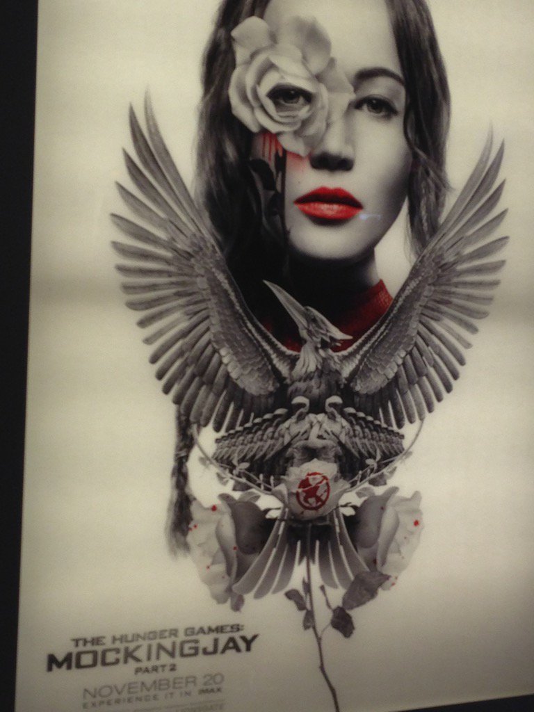 Apollo_U_Follow's tweet photo. Bout 2 c this 2 c how much better @fightmekatniss and I are better than Katniss https://t.co/OM0K8EvOBi