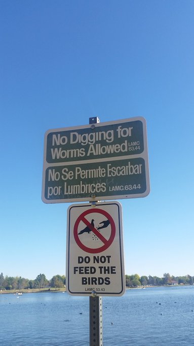 I'm sorry you guys... you can't dig for worms https://t.co/Y7OzJX9JHS