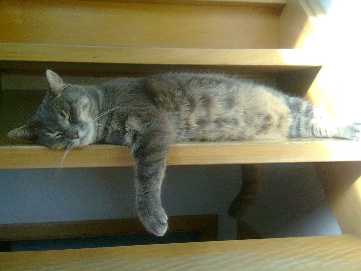 maartenthimpont's tweet photo. #BrusselsLockdown https://t.co/HUiNiUJfBh