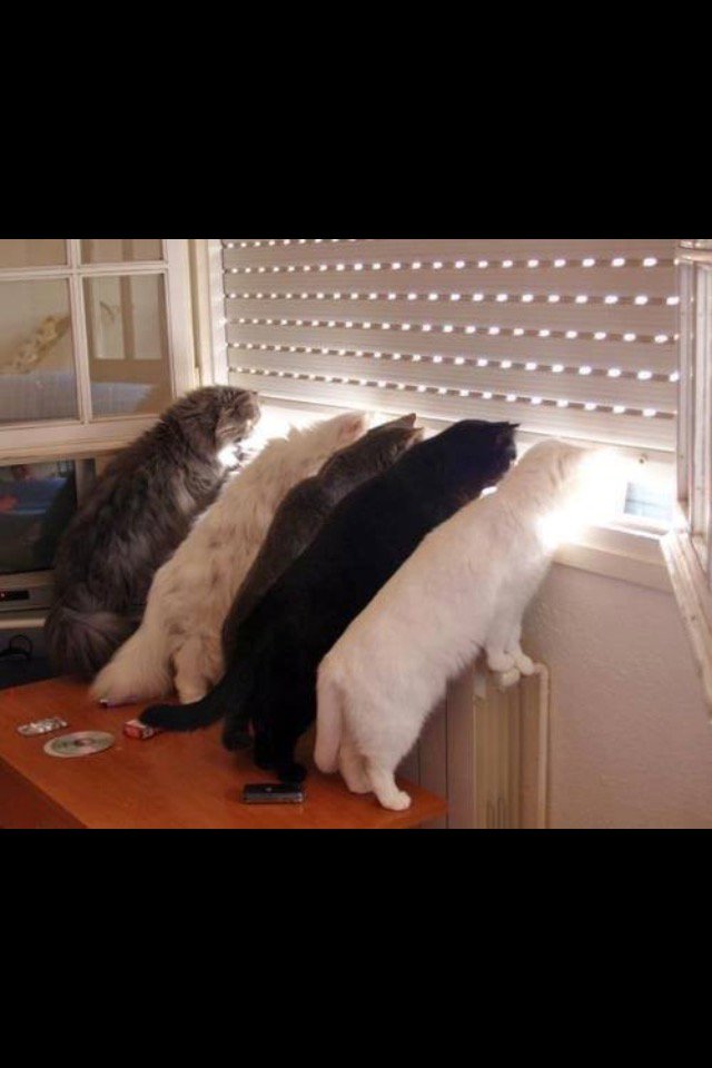 JSchampheleer's tweet photo. Is 't er iets te doen misschien ? #BrusselsLockdown https://t.co/IPtrNM5BZ6