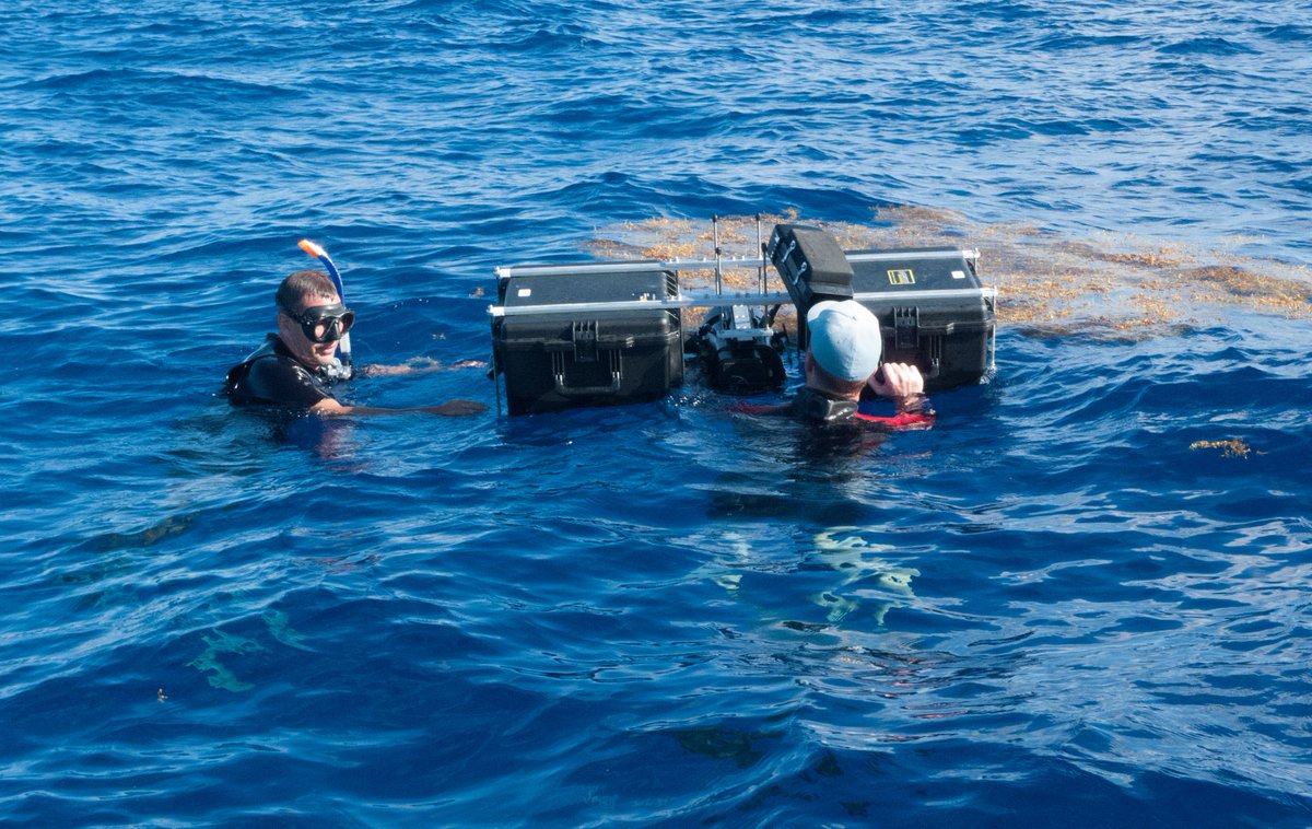 HughCPearson's tweet photo. #TheHunt. With @jdouganderson filming mats of sargassum weed with our special split level rig. https://t.co/qbJXH3oigJ