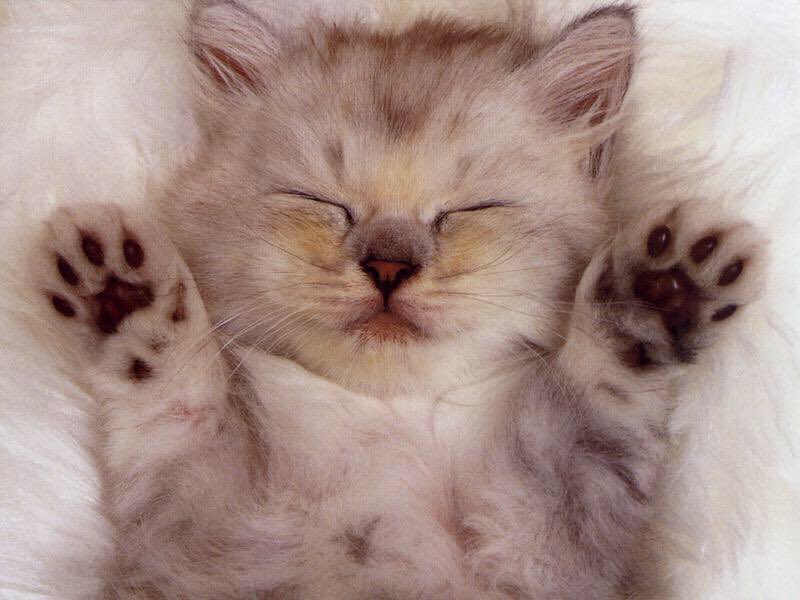 EliseDP's tweet photo. Morgen gevaarlijk glad op de baan, blijf beter thuis...  #BrusselsLockdown https://t.co/QOCgtq6M1K