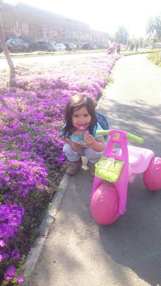 Araya_Marco's tweet photo. De paseo en el parque jiji (@ Parque Fluvial Renato Poblete in Quinta Normal) https://t.co/2K8y4t7yOI https://t.co/hXMwQ3veeZ