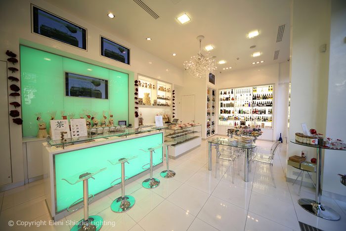 When opening your new retail store, it is important to influence mood and ambiance with a sleek lighting package