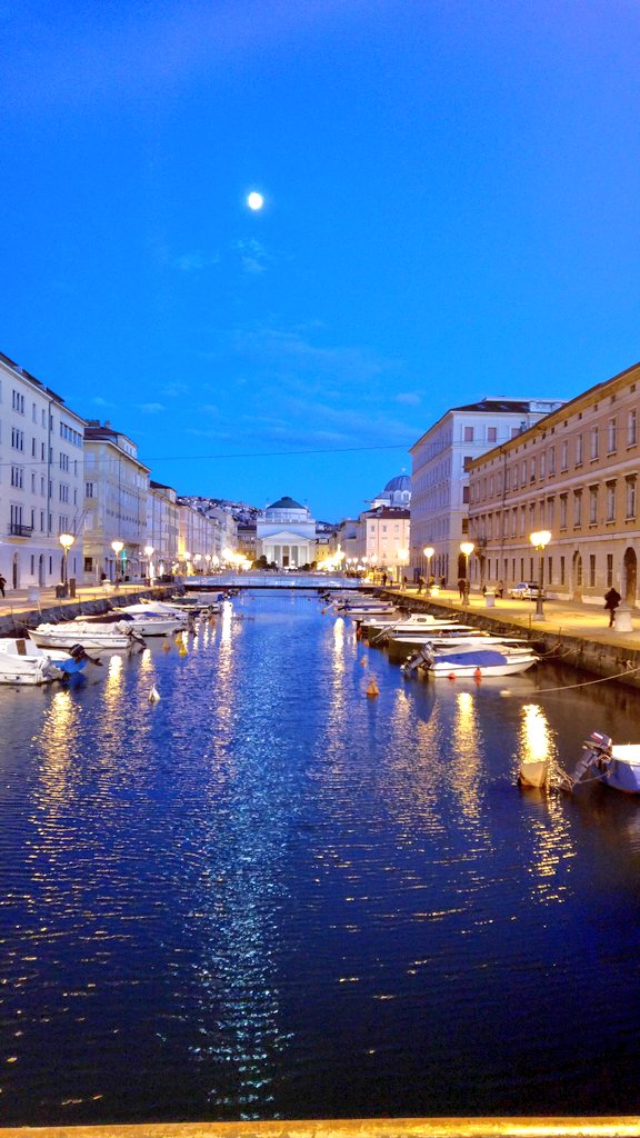 Run4Fia's tweet photo. #trieste #italy @turismotrieste @askthelocalsTS @DiscoverTrieste @ComunediTrieste  @TriesteSocial @CityofTrieste https://t.co/KVEhjp9gay