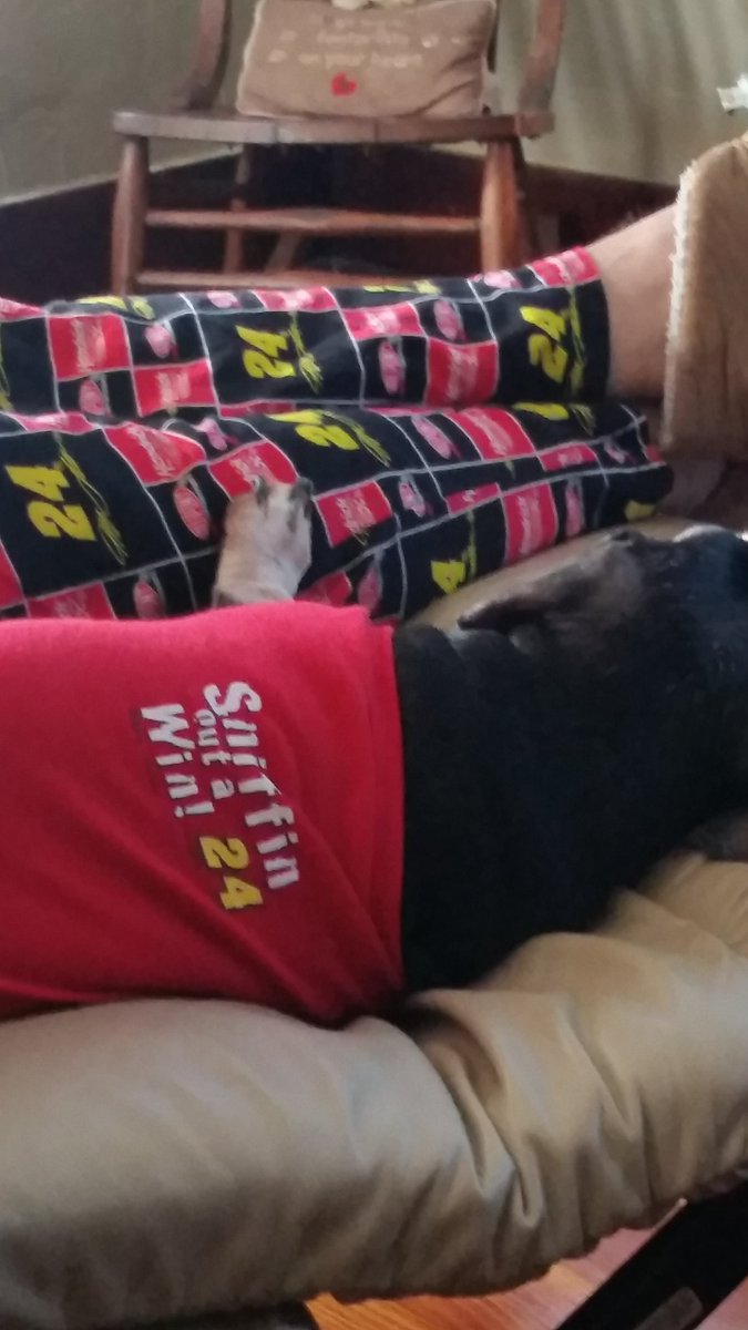 pieceout24's tweet photo. #24 EVER Daddy and Yoda excited for our final race. Already crying, we will miss you JG https://t.co/AuMYQaAFxR