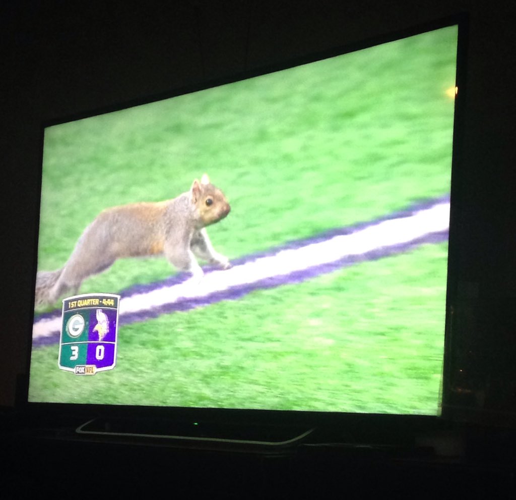 WSUSquirrel's tweet photo. Streaking at the #MNvsGB game. Sorry mom! https://t.co/KPtGH1XRIZ