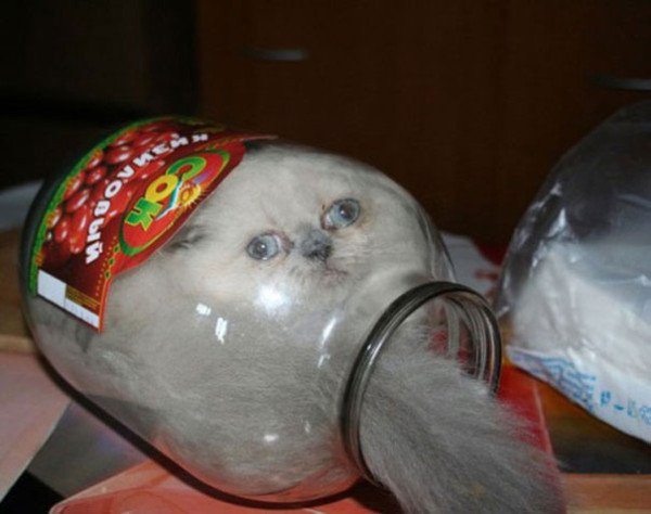 darklemm's tweet photo. #BrusselsLockdown https://t.co/bXAtnb9r4Q
