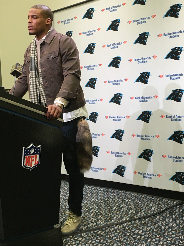 Image result for cam newton fox tail