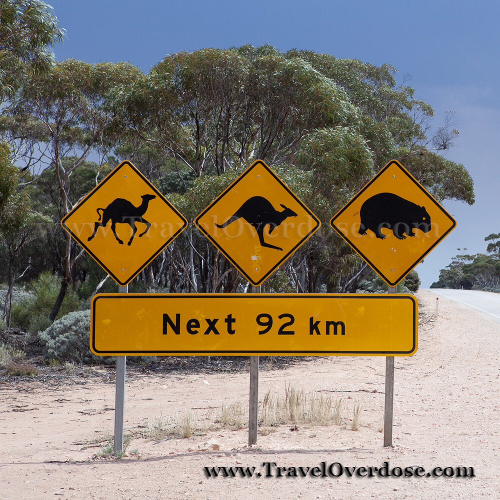 What's better than a great road trip? Sign on the Nullarbor.  #travel #traveloverdose #australia #southaustralia