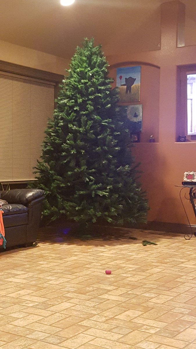 dyann_trout's tweet photo. Step 1 to start of the holidays  #treebefore https://t.co/Eny61arxTW