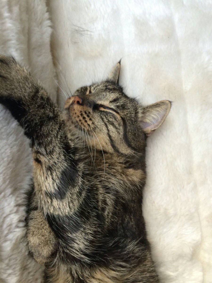 Wake me when it's over #Brussels