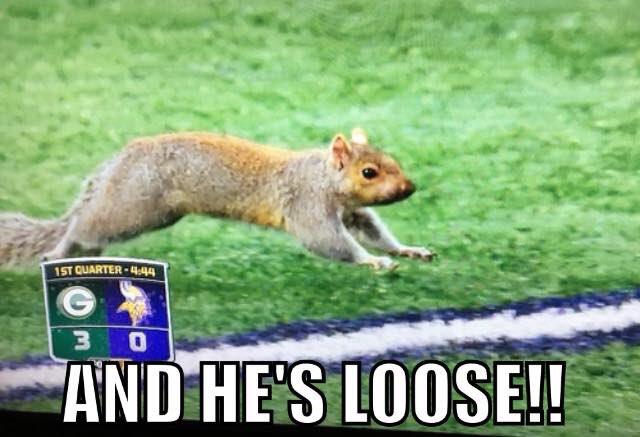 Made an appearance at The game today 😎