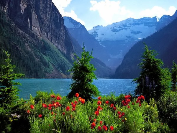 @Slow_life_Smile <a href="/izmirOlgun/">TUGİ</a> And also your picture no less beautiful ..Thanks