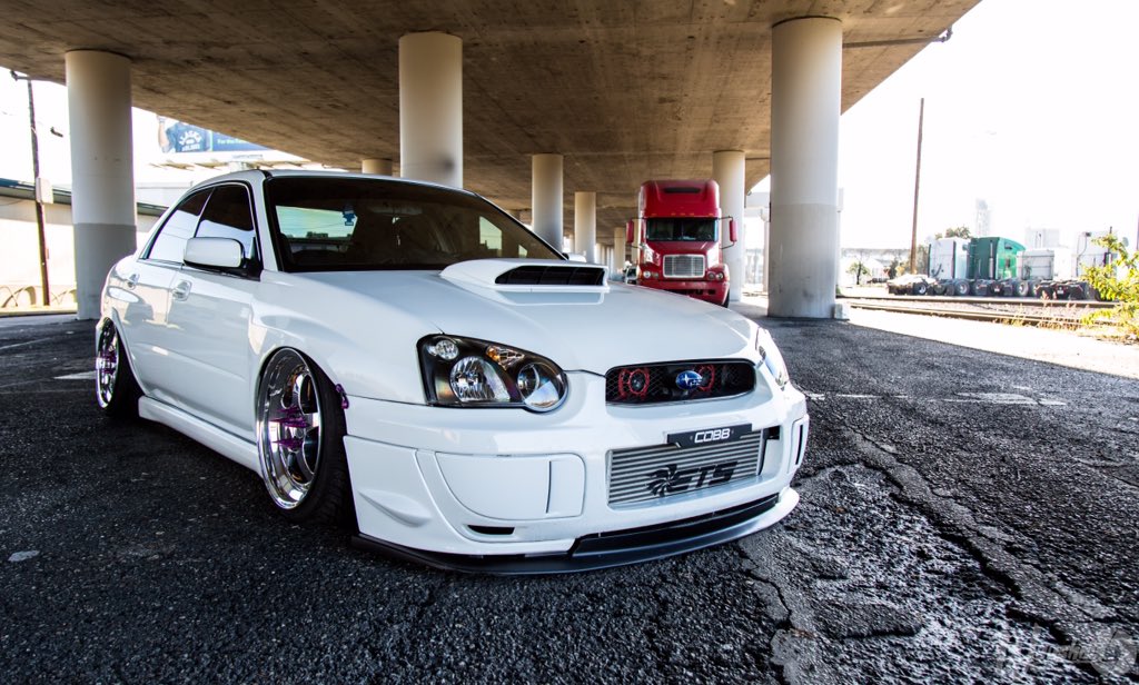 Low4bangers's tweet photo. Bagged blobeye! 😍 https://t.co/29rhHSQNz9
