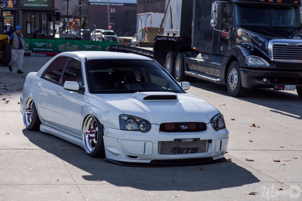Low4bangers's tweet photo. Bagged blobeye! 😍 https://t.co/29rhHSQNz9