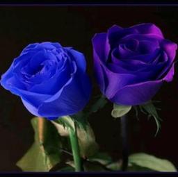 Dengarkan cover "CINTA DIANTARA KITA-Nike A Feat Deddy D" ini melalui #Smule: smule.com/p/452729155_21… #SingKaraoke