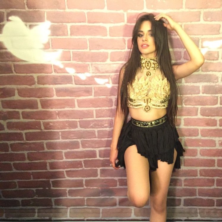 guiltypleasxre's tweet photo. helloo, i'm Camila, the kitten warrior princess. i'm new around here though it would be great if you rted! xo 🐱 https://t.co/Iqn8NNwrXi