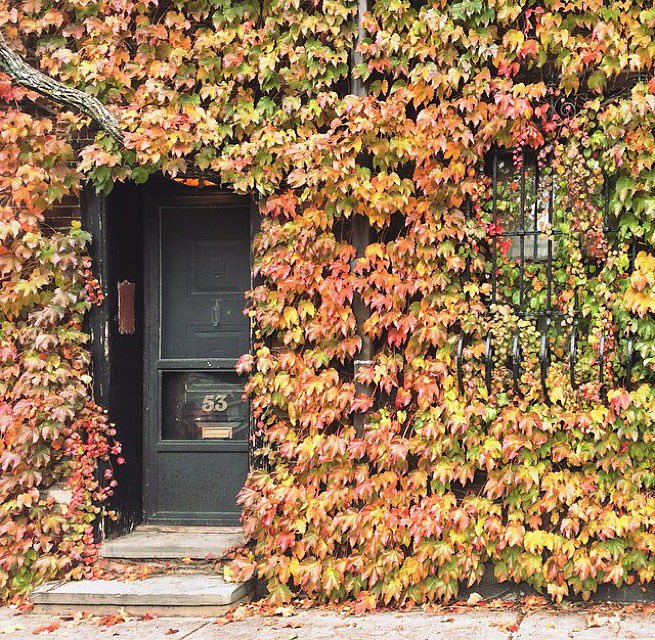 alliemfelix's tweet photo. There's nothing quite like a #Boston fall. Three cheers for successful work trips! #girlboss https://t.co/2wUirPAZJR