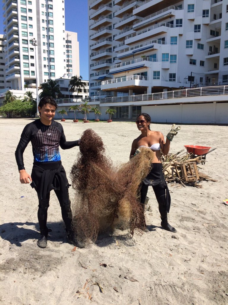 sahowardt's tweet photo. Esta malla estaba acabando con la vida marina en Santa Marta. A partir de hoy, no lo hará más. #ColombiaLimpia https://t.co/JdwdiLms1O
