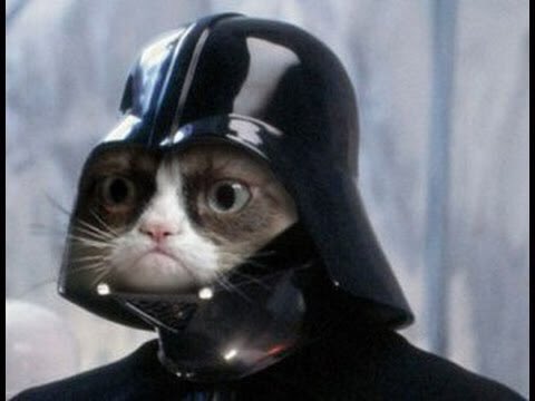 OfHomoSapiens's tweet photo. Some of the best of #BrusselsLockdown https://t.co/SoDjIMu0GF
