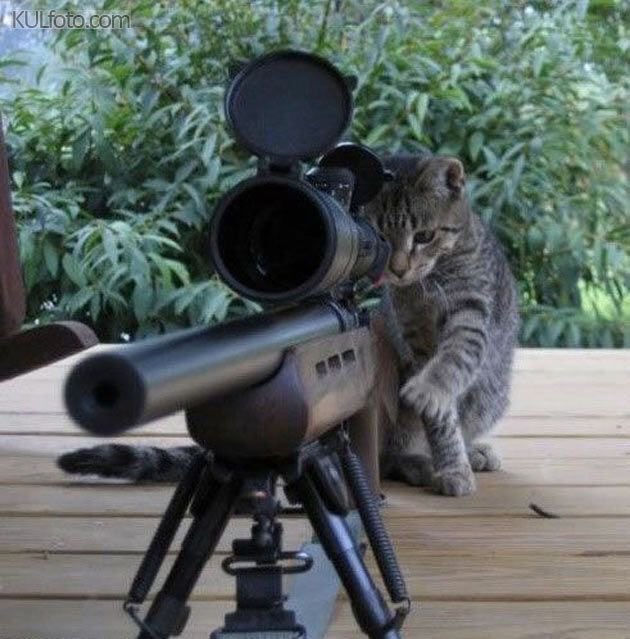OfHomoSapiens's tweet photo. Some of the best of #BrusselsLockdown https://t.co/SoDjIMu0GF