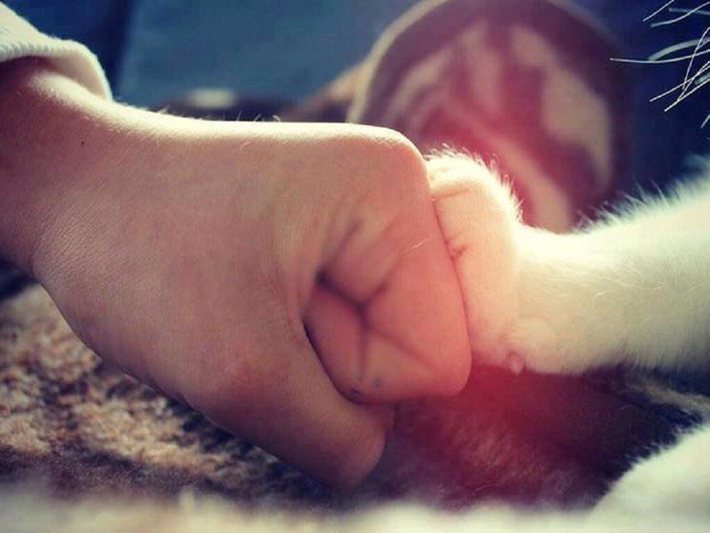 KelseyTrrrills's tweet photo. Well played, Belgium. Well played. #BrusselsLockdown https://t.co/5PpvoGocQC
