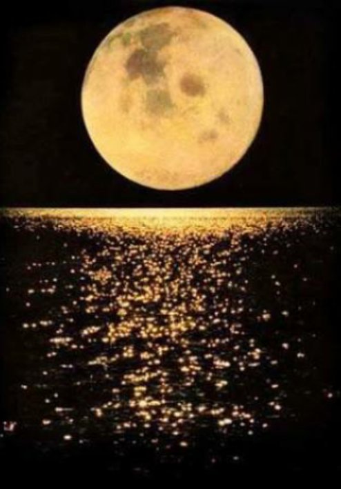 leidemcosta's tweet photo. @victoriaruffo31 Buenas noches Mi Reina. Tengo una hermosa noche de domingo. https://t.co/4HwejpQdn5