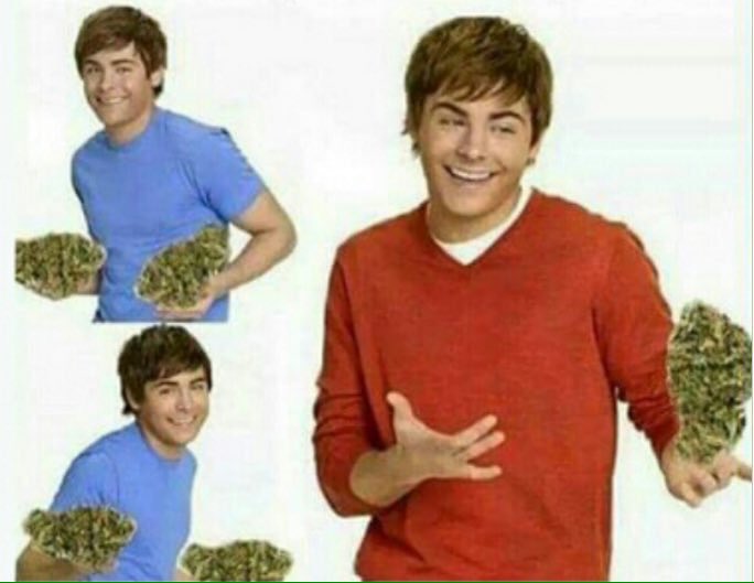 GeniusPothead's tweet photo. When my parents ask what I spend my money on https://t.co/KFL9M5NcYJ