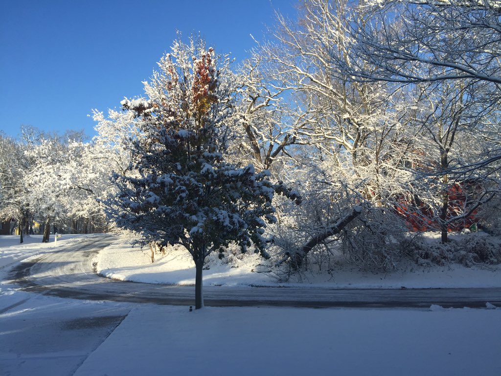Beau_Vroom's tweet photo. #ICHSGSPmet2 Taken by me. Just last Sunday, it was warm enough to eat lunch outside. Now it is 18 degrees outside. https://t.co/6o4iRPZFjq