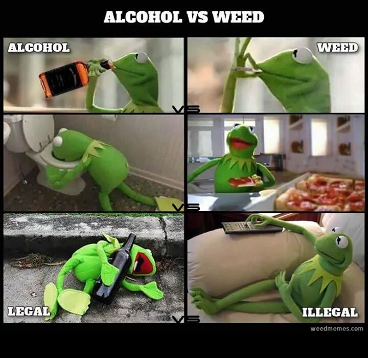 _Truffle_Report's tweet photo. Alcohol vs Weed https://t.co/zoefGUlvk2