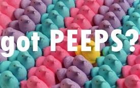 tareksocal's tweet photo. #StewHam Does! #SaveStewHam we need these #PeepsBack4Season2 @AlanaKStewart @take2radio @JoJoDiamonds #StewHamArmy https://t.co/gk4uaJxplV