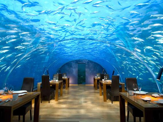 IdaSales15's tweet photo. Instead of eating something special, let's try #eating at #somewhere #special! #trusus https://t.co/tEFdXOaXxK