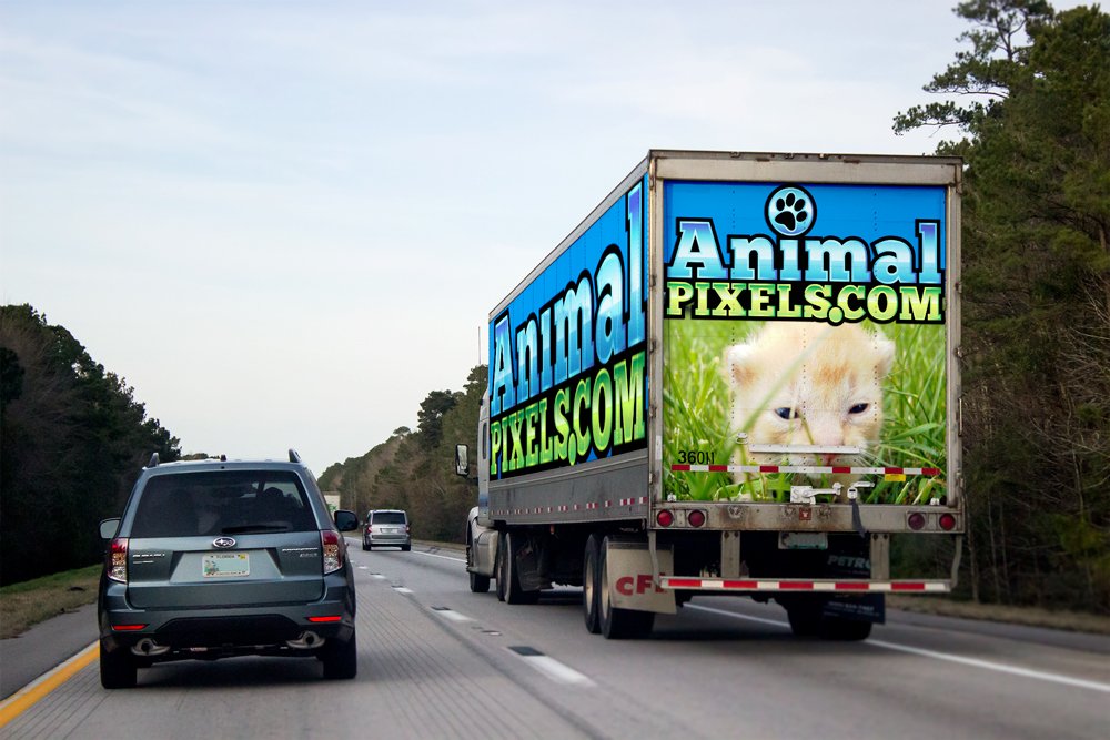 AnimalPixels's tweet photo. Truckload of #Animalpixels moved to a #TOPsecret location. https://t.co/raSCYiLjad #Animals #HelpAnimals #Animal https://t.co/1MKoLUfaLW