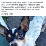 Photo by TinyPawsRescue (@TinyPawsResQ)