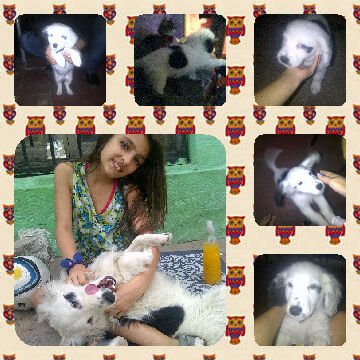 camy_cai's tweet photo. Te amó mi bebe creciste un montón te amó https://t.co/TWckM748o3