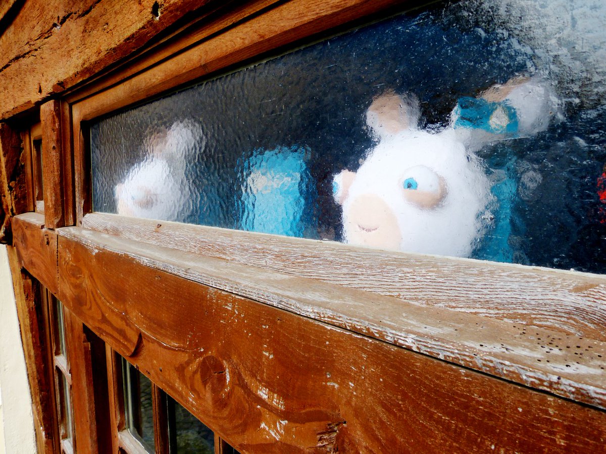 MaisonLap1Cret1's tweet photo. Vous vous sentez observés quand vous déambulez dans les rues de #Malestroit ? Et si c'était les #LapinsCrétins ? 🐰 👀 https://t.co/Lr73KrA8Qm