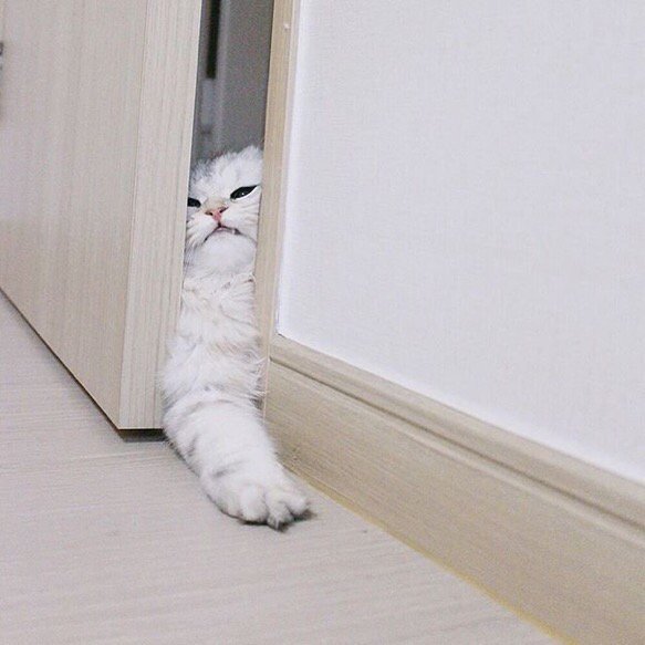 QuotesAnFacts's tweet photo. me trying to make things right before 2016 https://t.co/j60dhcDWfB