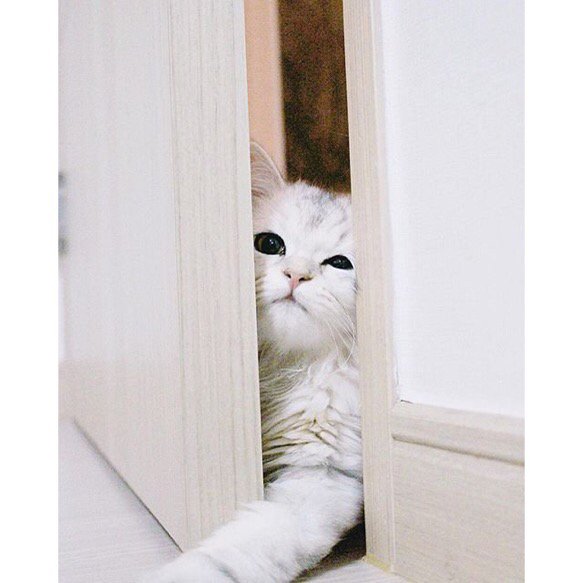 QuotesAnFacts's tweet photo. me trying to make things right before 2016 https://t.co/j60dhcDWfB