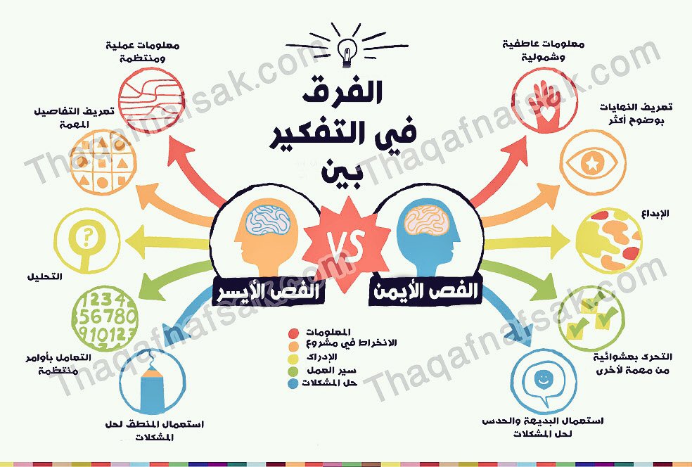 عبدالله العطار على تويتر الفرق في التفكير بين النصف الأيمن والنصف الأيسر من الدماغ Https T Co 5zuegnrctt