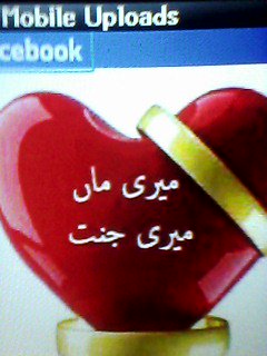 asghazi5 tweet picture