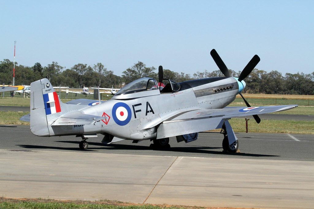 I love Mustangs! Cadillac of the Skies!